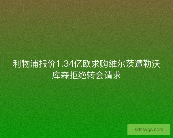 利物浦报价1.34亿欧求购维尔茨遭勒沃库森拒绝转会请求