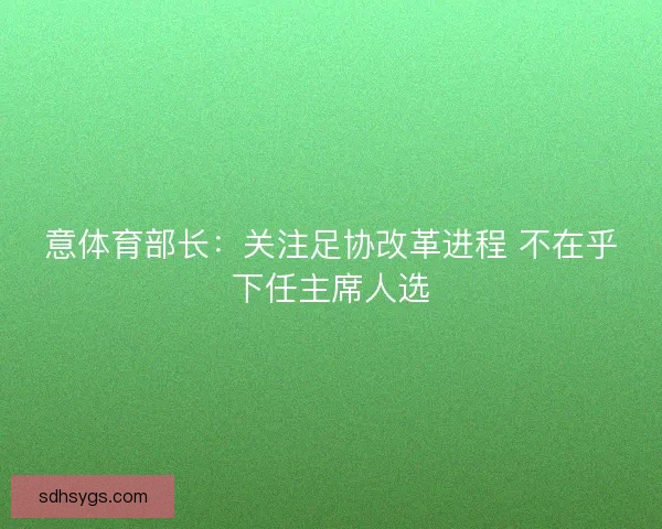 意体育部长:关注足协改革进程 不在乎下任主席人选 意体育部长:关注足协改革进程 不在乎下任主席人选