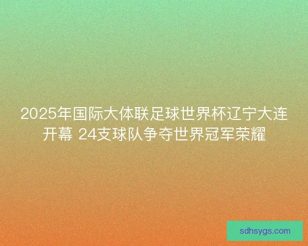 2025年国际大体联足球世界杯辽宁大连开幕 24支球队争夺世界冠军荣耀