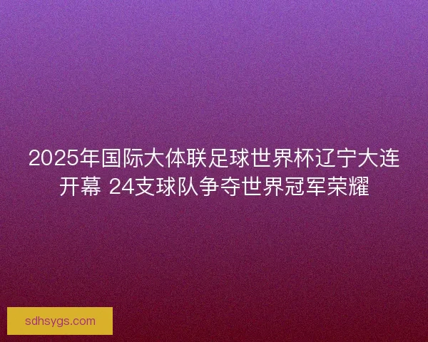 2025年国际大体联足球世界杯辽宁大连开幕 24支球队争夺世界冠军荣耀